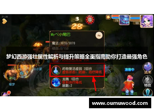 梦幻西游强壮属性解析与提升策略全面指南助你打造最强角色